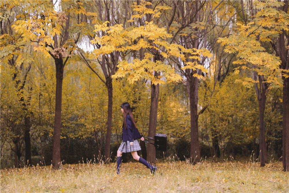 团体心理辅导活动方案